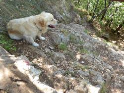 Click to see big picture (1024x768 pixels; 214 KB)