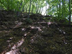 Click to see big picture (1024x768 pixels; 200 KB)