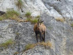 Click to see big picture (1024x768 pixels; 147 KB)