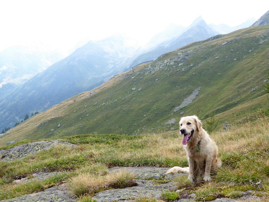 {Clic pour voir plus grand}