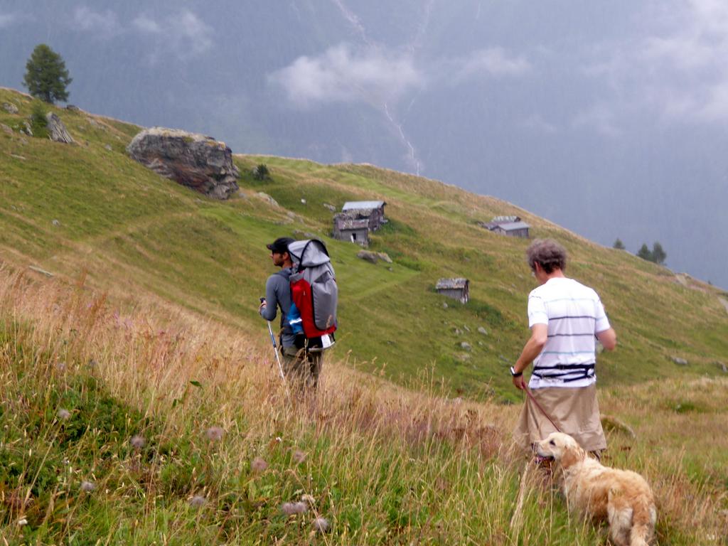 {Clic pour voir plus grand}