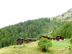 Click to see big picture (1024x768 pixels; 138 KB)