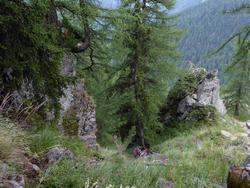 Click to see big picture (1024x768 pixels; 197 KB)