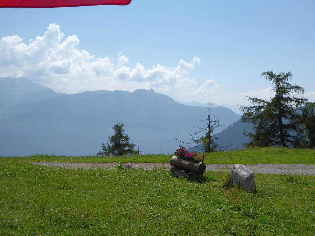 {Clic pour voir plus grand}