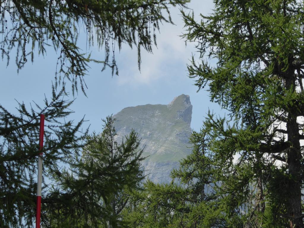 {Clic pour voir plus grand}