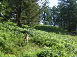 Click to see big picture (1024x768 pixels; 251 KB)