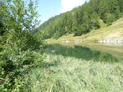 Click to see big picture (1024x768 pixels; 257 KB)