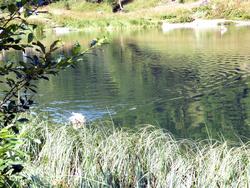 Click to see big picture (1024x768 pixels; 222 KB)