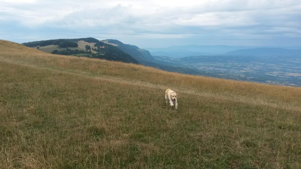 {Clic pour voir plus grand}