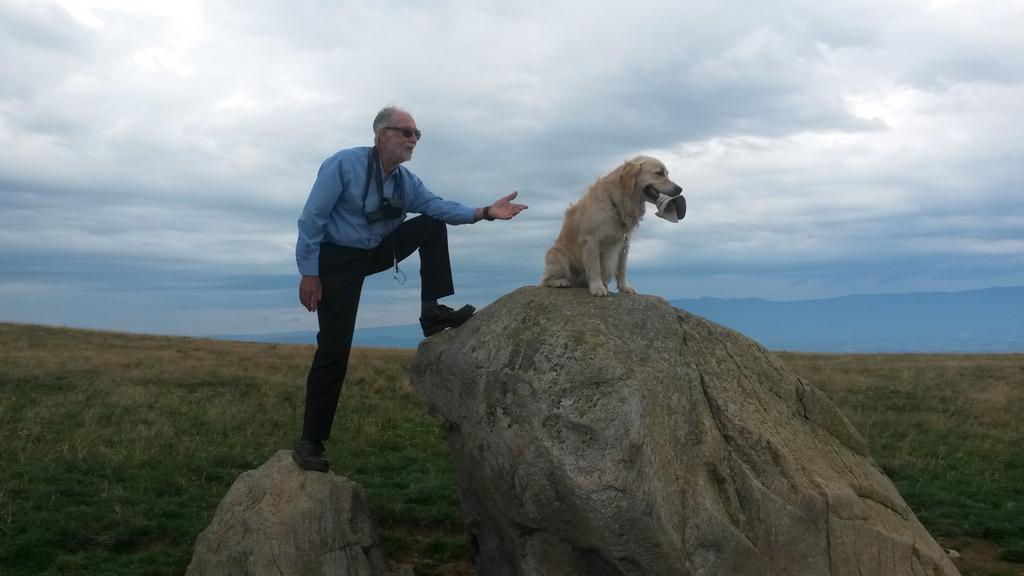 {Clic pour voir plus grand}