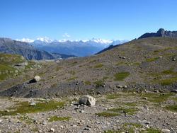 Click to see big picture (1024x768 pixels; 189 KB)