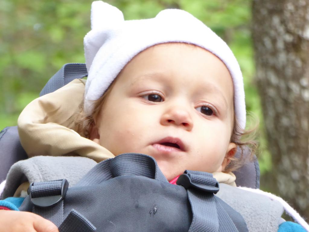 {Clic pour voir plus grand}