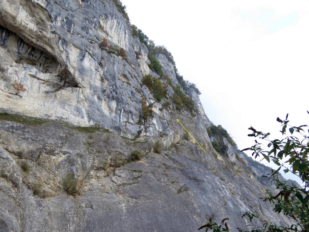 {Clic pour voir plus grand}