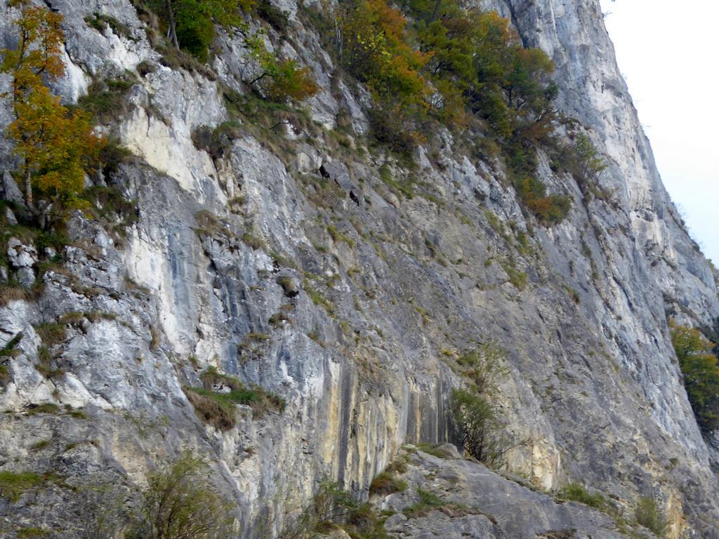 {Clic pour voir plus grand}