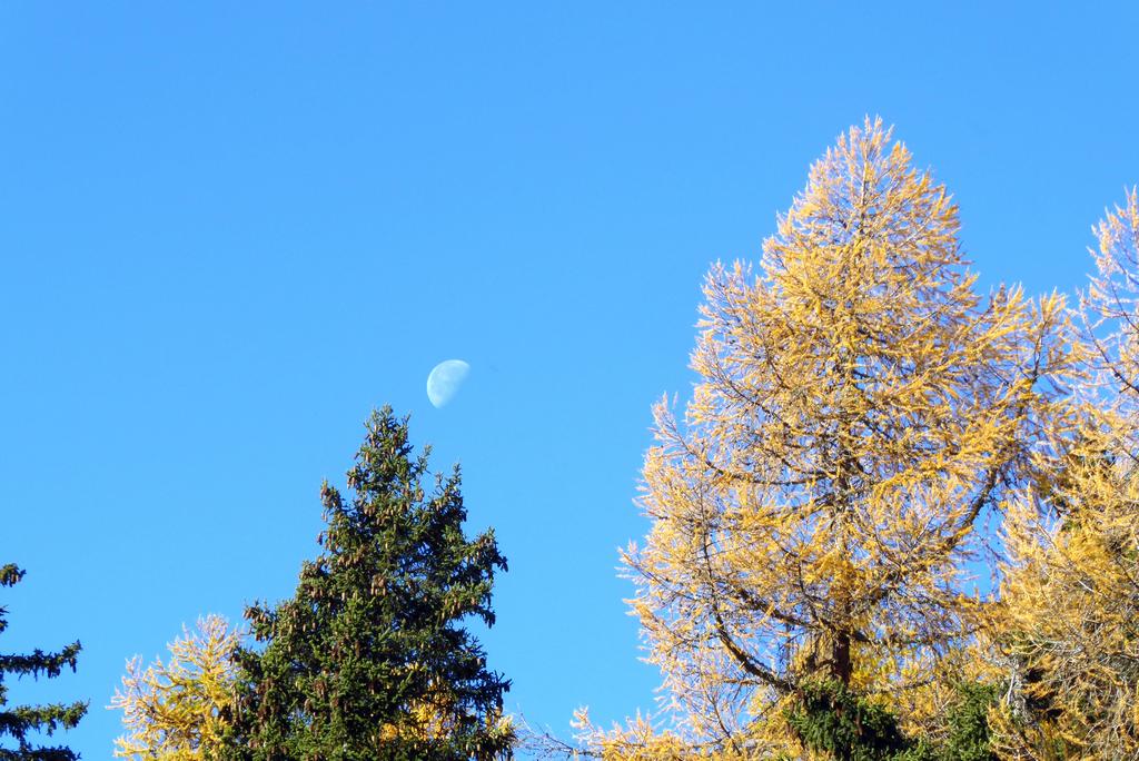 {Clic pour voir plus grand}