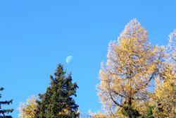 Click to see big picture (1024x684 pixels; 128 KB)