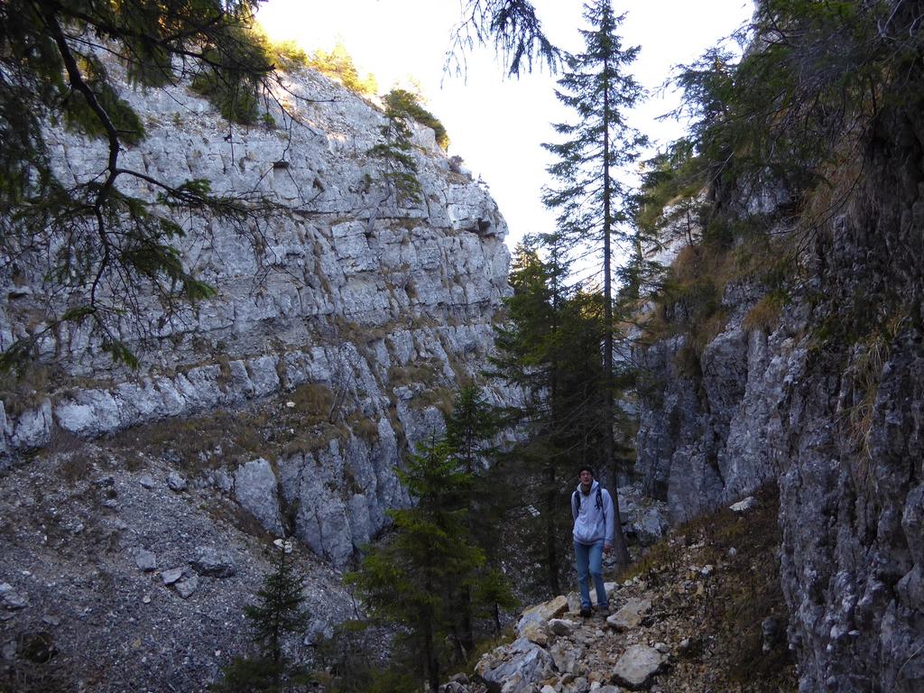 {Clic pour voir plus grand}