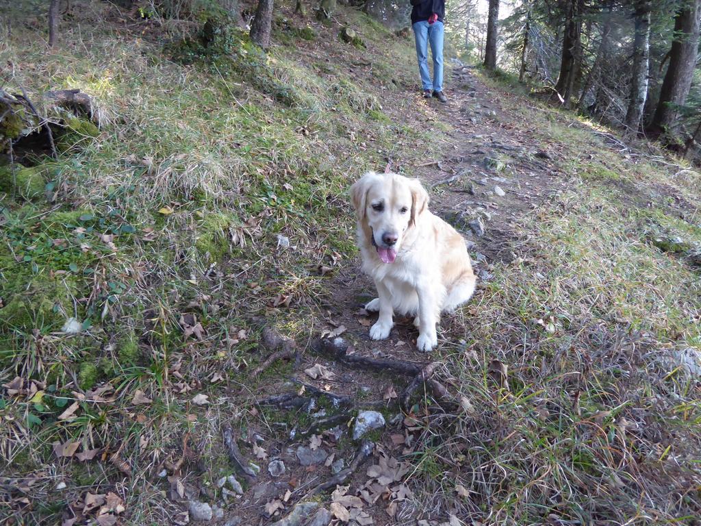 {Clic pour voir plus grand}