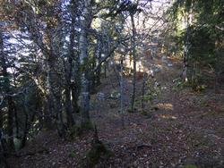 Click to see big picture (1024x768 pixels; 240 KB)