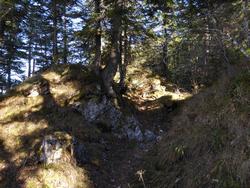 Click to see big picture (1024x768 pixels; 222 KB)