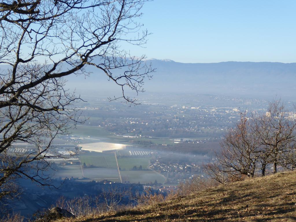 {Clic pour voir plus grand}