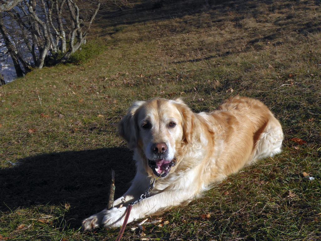 {Clic pour voir plus grand}