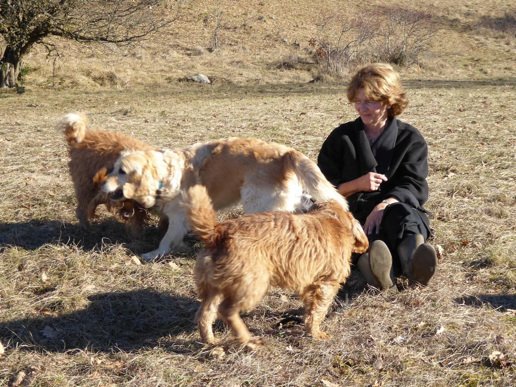 {Clic pour voir plus grand}