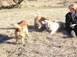 Click to see big picture (1024x768 pixels; 247 KB)