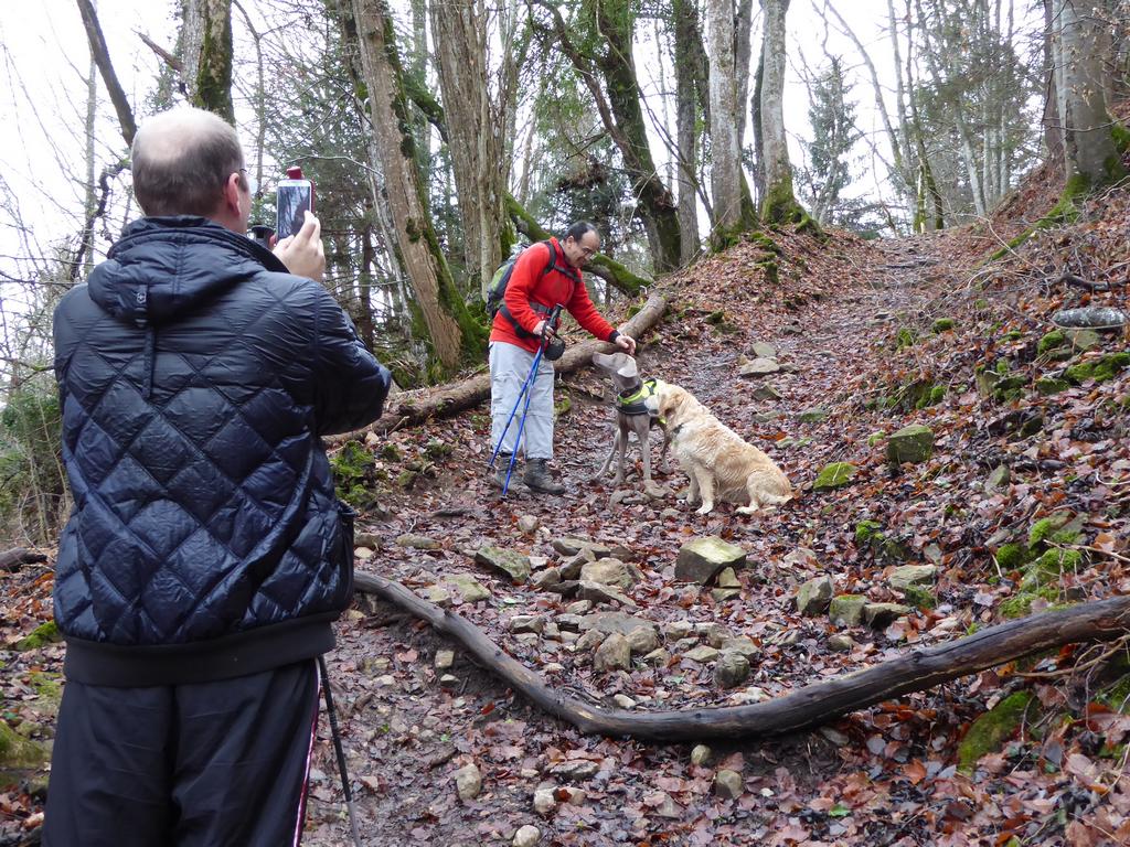 {Clic pour voir plus grand}