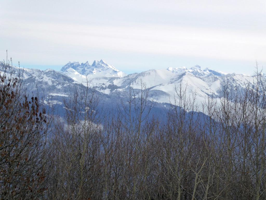 {Clic pour voir plus grand}