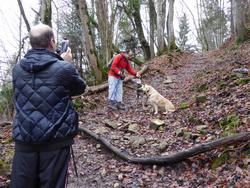 Click to see big picture (1024x768 pixels; 233 KB)