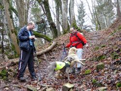 Click to see big picture (1024x768 pixels; 236 KB)