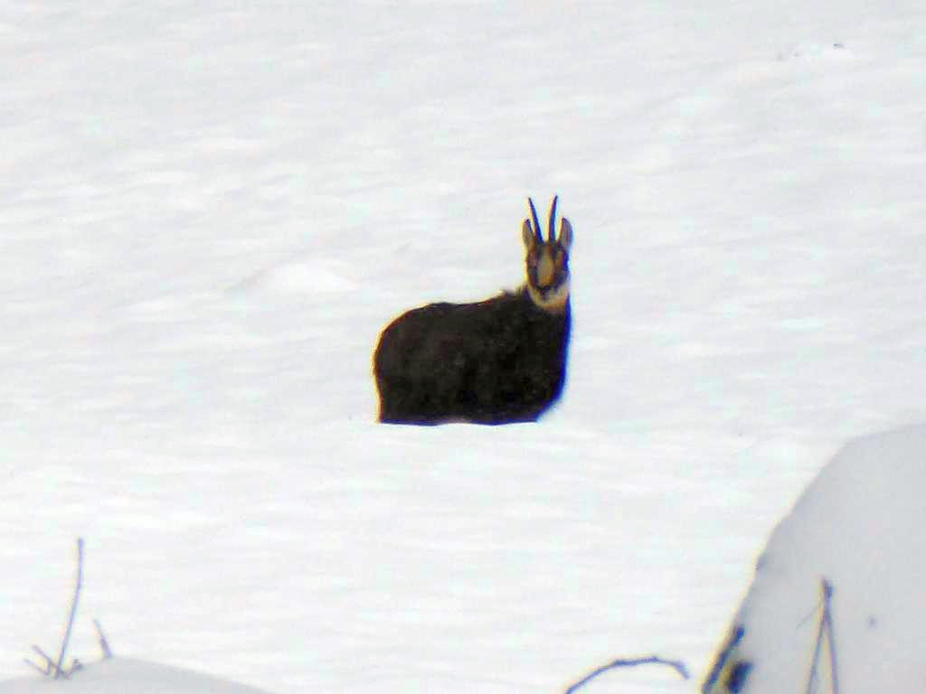 {Clic pour voir plus grand}