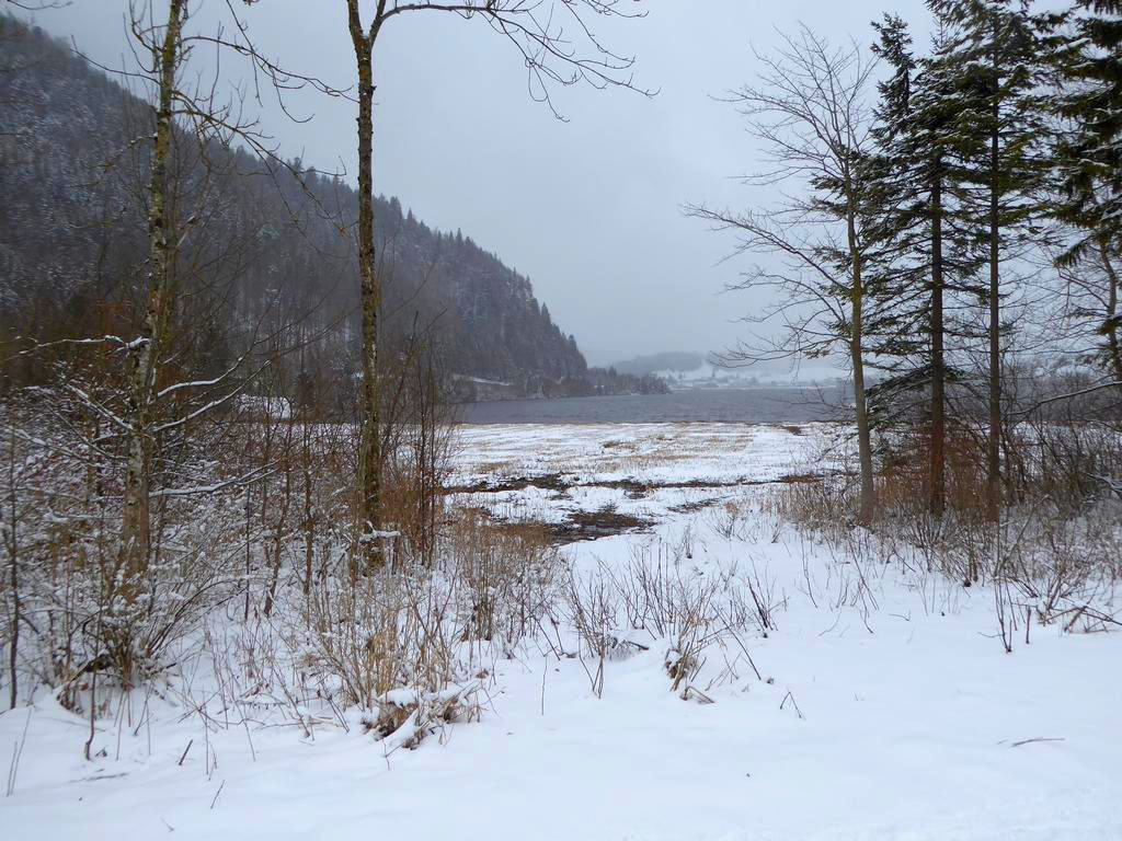 {Clic pour voir plus grand}