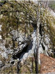 Click to see big picture (575x768 pixels; 115 KB)