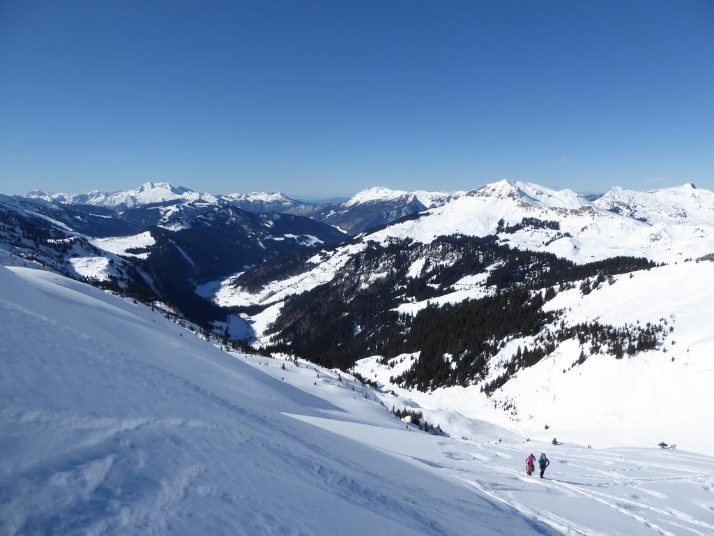 {Clic pour voir plus grand}