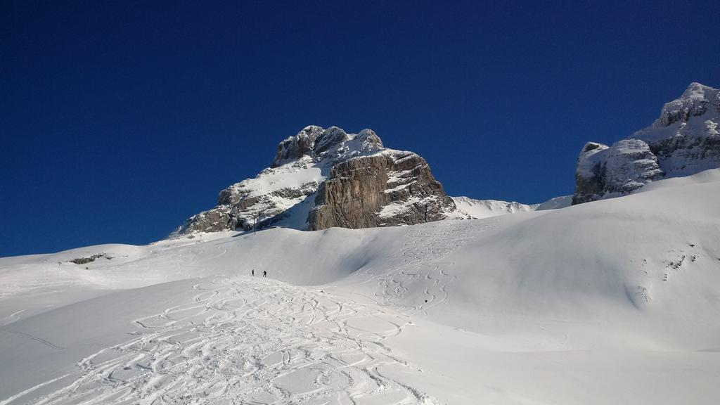 {Clic pour voir plus grand}