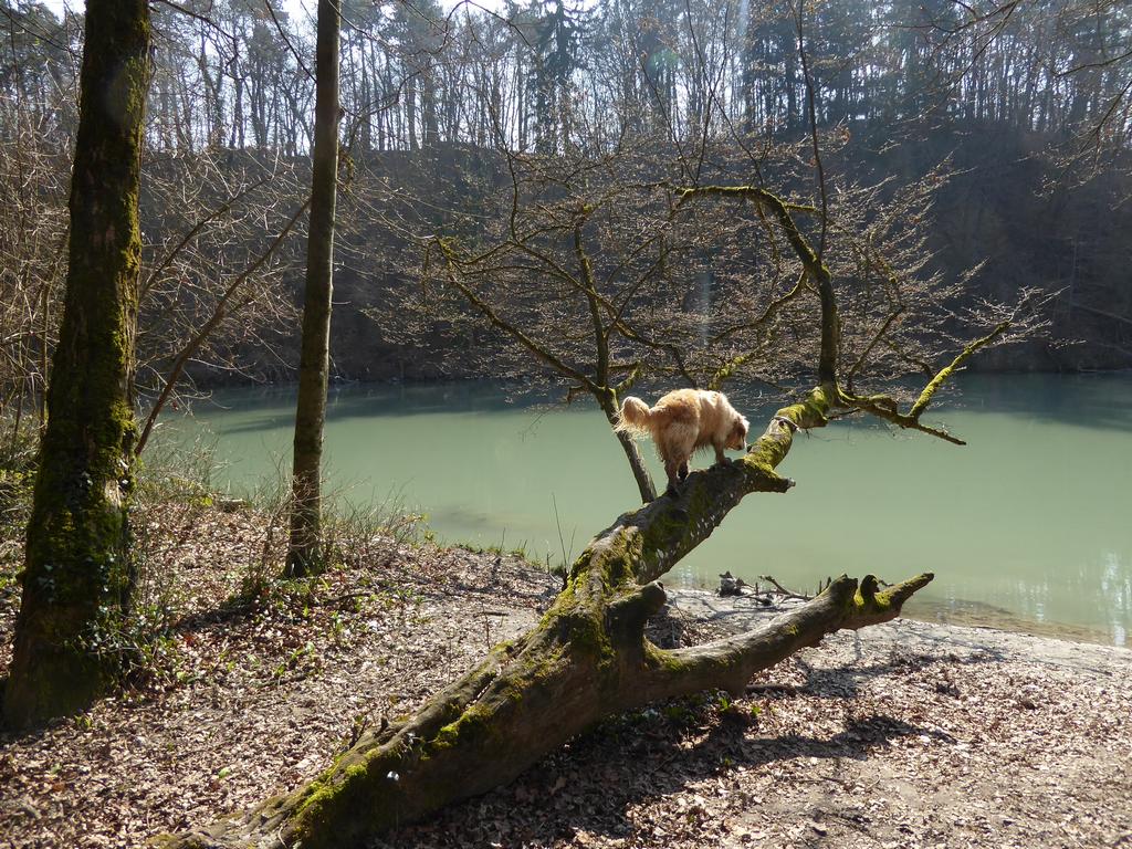 {Clic pour voir plus grand}