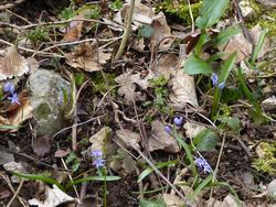 Click to see big picture (1024x768 pixels; 214 KB)