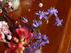 Click to see big picture (1024x768 pixels; 112 KB)