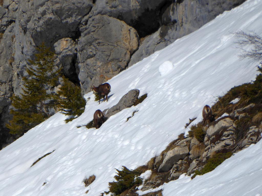 {Clic pour voir plus grand}