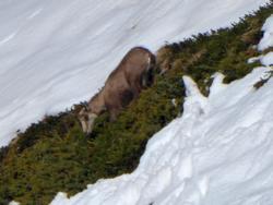 Click to see big picture (1024x768 pixels; 73 KB)