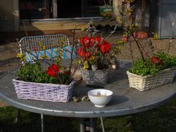 Click to see big picture (1024x768 pixels; 151 KB)