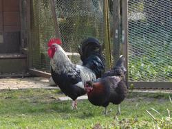 Click to see big picture (1024x768 pixels; 151 KB)