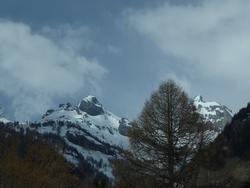 Click to see big picture (1024x768 pixels; 83 KB)