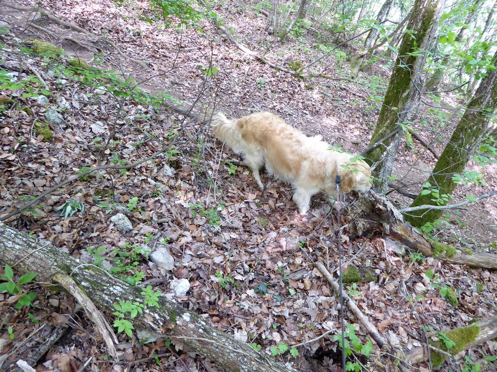 {Clic pour voir plus grand}