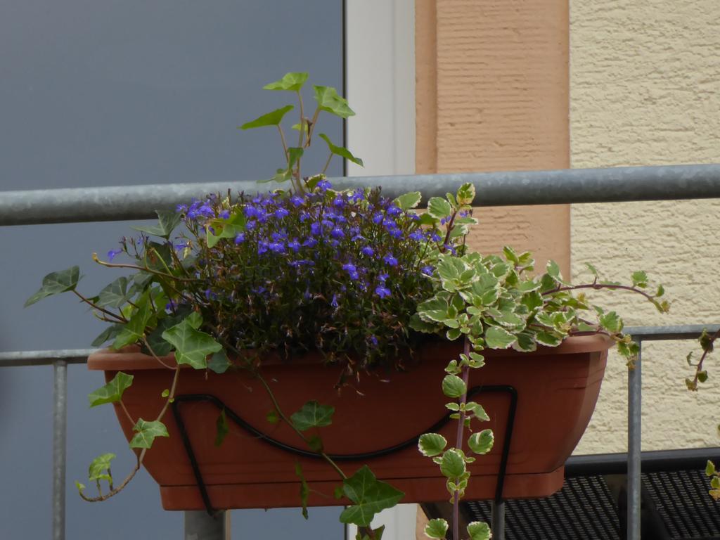 {Clic pour voir plus grand}