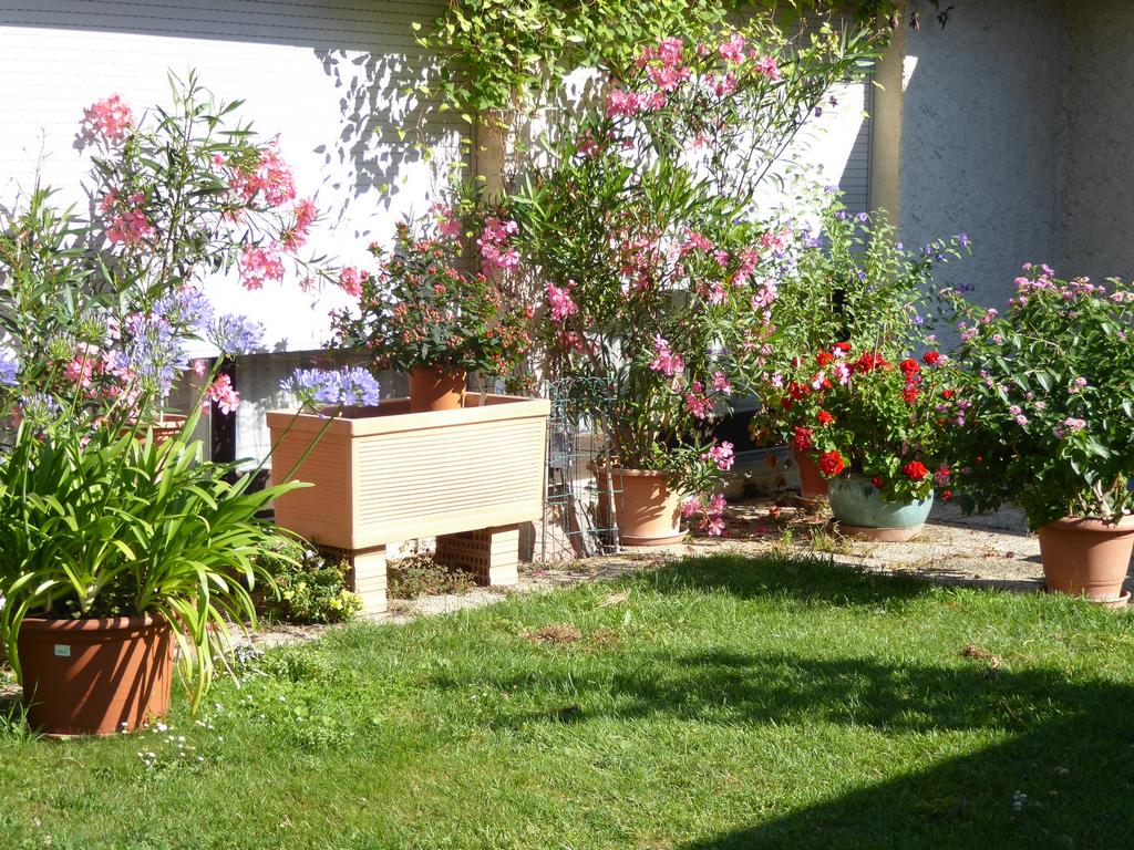 {Clic pour voir plus grand}