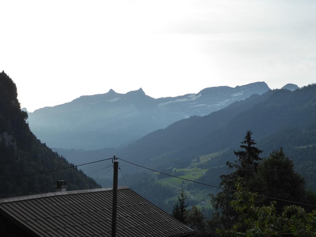 {Clic pour voir plus grand}