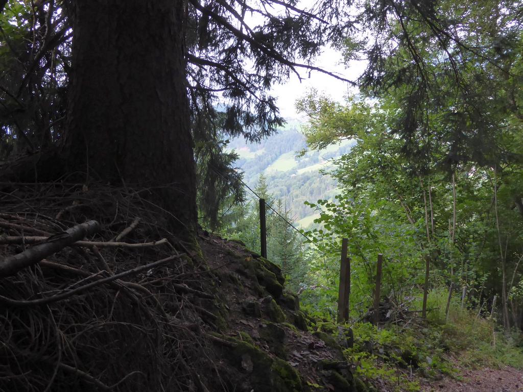 {Clic pour voir plus grand}